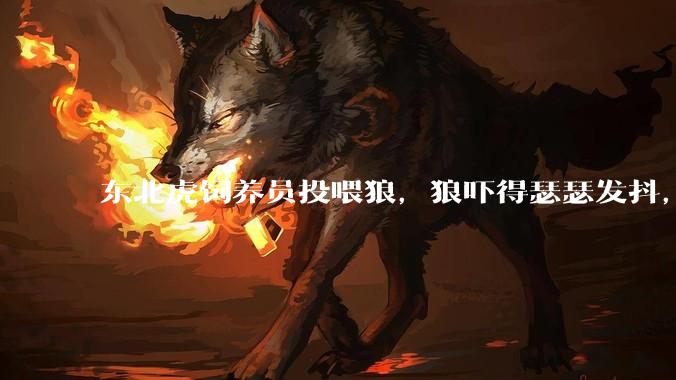 东北虎饲养员投喂狼，狼吓得瑟瑟发抖，真的是「血脉压制」吗？可能是哪些原因造成的？